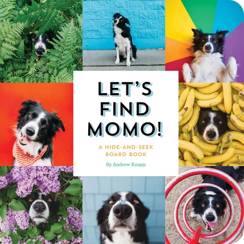 Let's Find Momo! (A Hide-and-Seek Board Book) by Andrew Knapp, 9781594749582