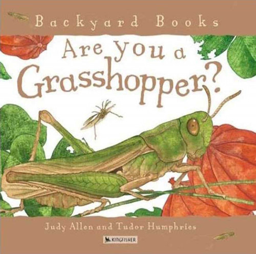 Are You a Grasshopper? by Judy Allen, Tudor Humphries, 9780753458068