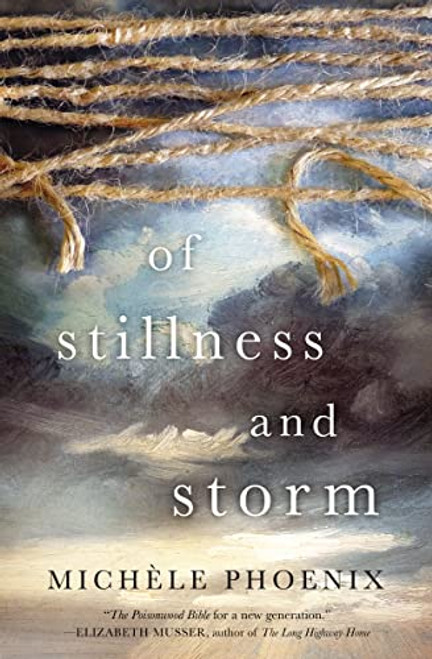 Of Stillness and Storm by Michele Phoenix, 9780718086428