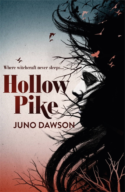 Hollow Pike by James Dawson, 9781780621289
