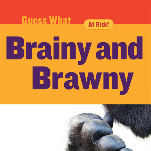 Brainy and Brawny (Gorilla) by Felicia Macheske, 9781634721738