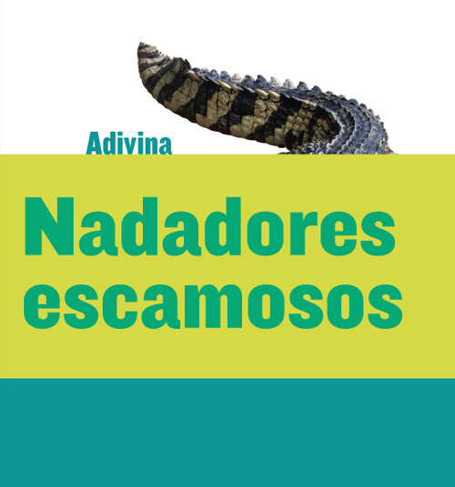 Nadadores escamosos (Scaly Swimmers) (Cocodrilo (Crocodile)) (Spanish Edition) by Kelly Calhoun, 9781634714518
