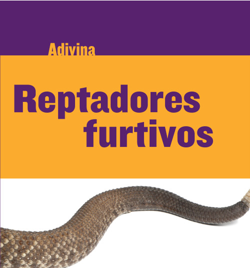 Reptadores furtivos (Slinky Sliders) (Serpiente de cascabel (Rattlesnake)) (Spanish Edition) by Kelly Calhoun, 9781634714525