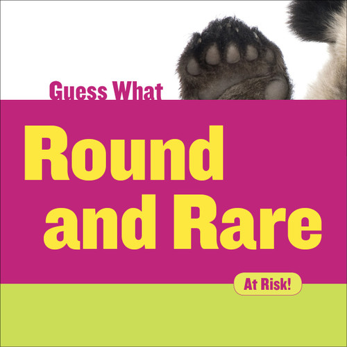 Round and Rare (Giant Panda) by Felicia Macheske, 9781634721707
