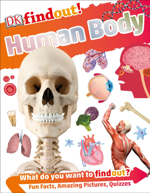 DKfindout! Human Body by DK, 9781465463081
