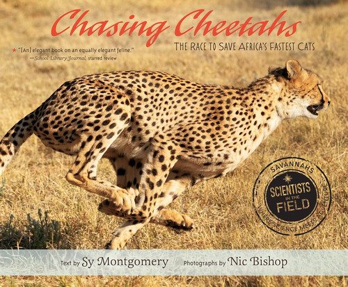 Chasing Cheetahs (The Race to Save Africa's Fastest Cat) - 9781328740892 by Sy Montgomery, Nic Bishop, 9781328740892