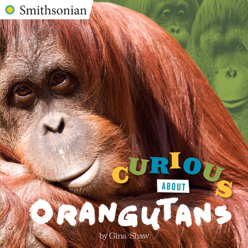 Curious About Orangutans by Gina Shaw, 9780515159011