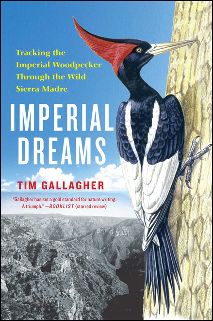 Imperial Dreams (Tracking the Imperial Woodpecker Through the Wild) by Tim Gallagher, 9781476734385