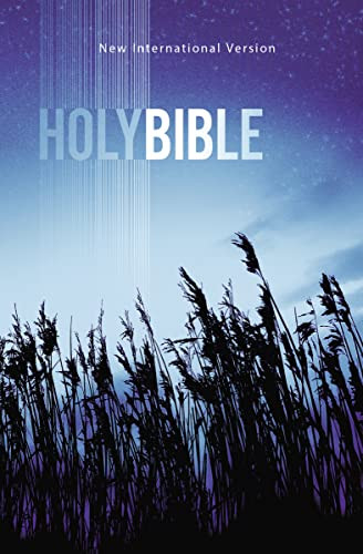 NIV, Value Outreach Bible, Paperback - 9780310446828 by Zondervan