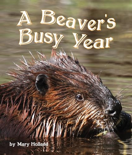 Beavers' Busy Year, The by Mary Holland, 9781628552041