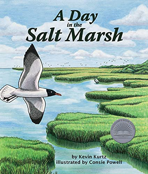 Day in the Salt Marsh, A by Kevin Kurtz, Consie Powell, 9780976882350