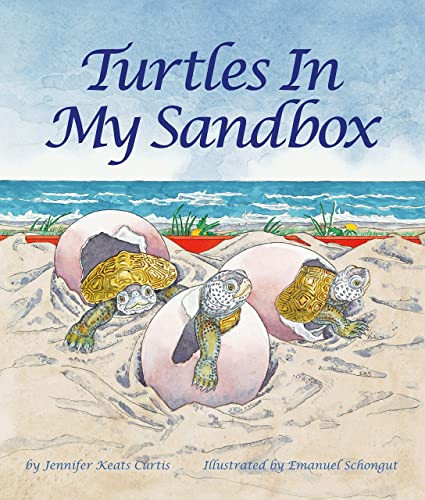 Turtles In My Sandbox by Jennifer Keats Curtis, Emanuel Schongut, 9780976882374
