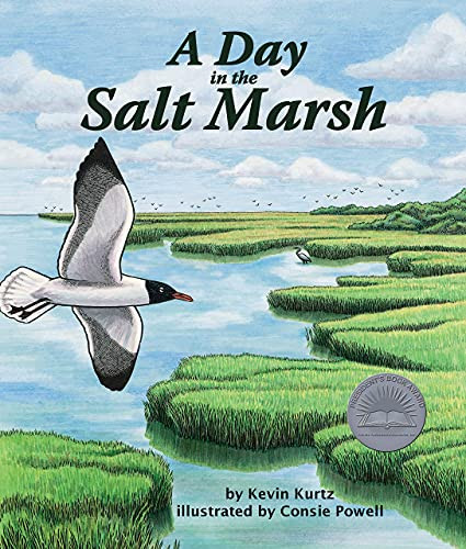 Day in the Salt Marsh, A - 9781934359198 by Kevin Kurtz, Consie Powell, 9781934359198