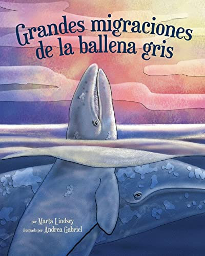 Grandes migraciones de la ballena gris ((Little Gray's Great Migration in Spanish)) by Marta Lindsey, Andrea Gabriel, 9781628554687