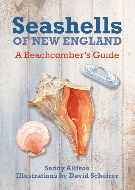 Seashells of New England (A Beachcomber's Guide) by David Scheirer, Sandy Allison, 9781493027897
