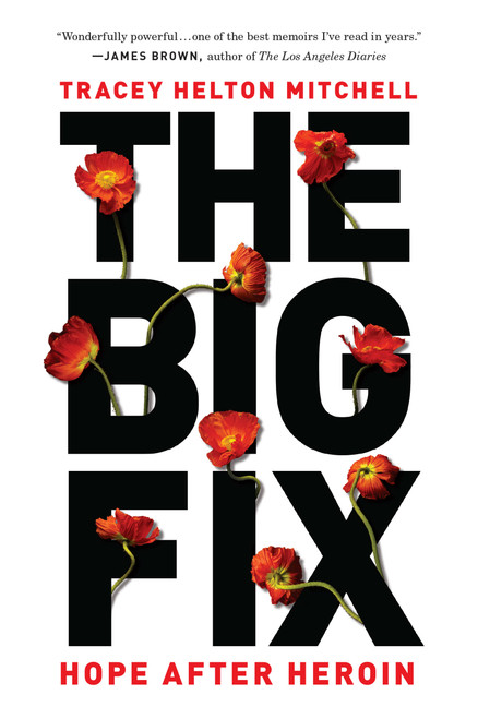 The Big Fix (Hope After Heroin) - 9781580056632 by Tracey Helton Mitchell