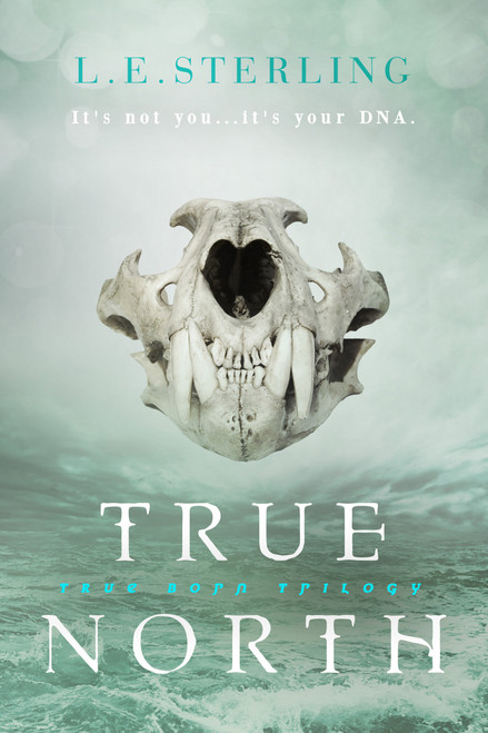 True North - 9781633759152 by L.E. Sterling, 9781633759152