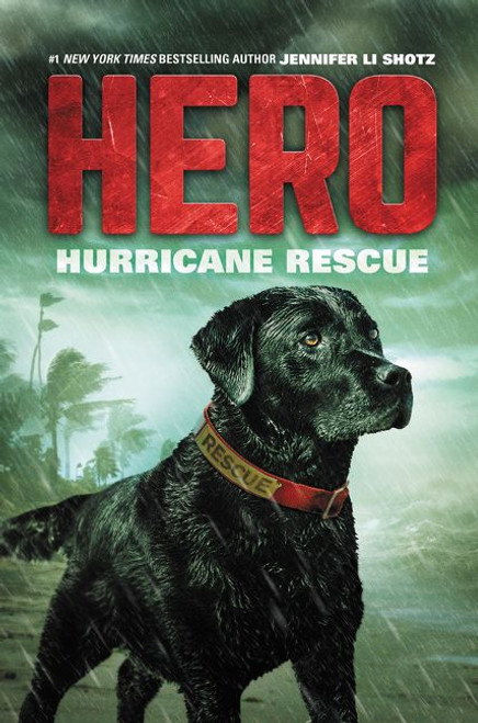 Hero: Hurricane Rescue - 9780062791399 by Jennifer Li Shotz, 9780062791399
