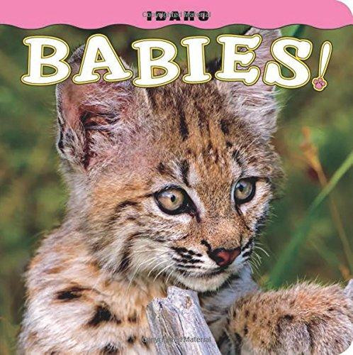 Idaho Babies! by Steph Lehmann, 9781560376842