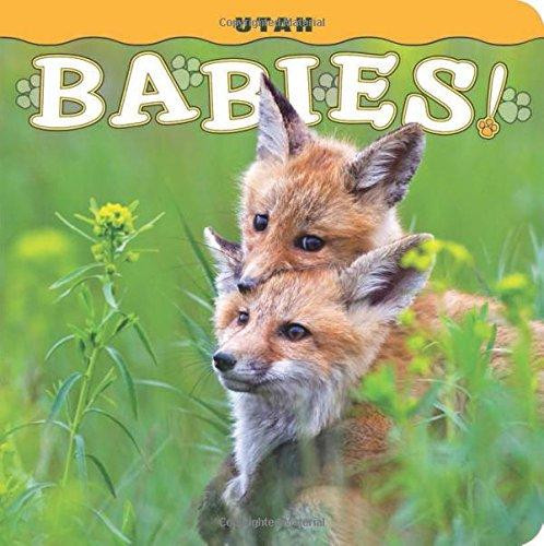 Utah Babies! by Steph Lehmann, 9781560376835