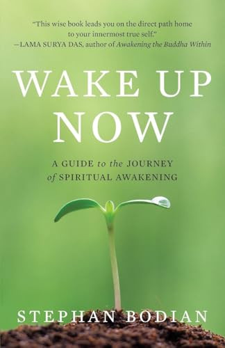 Wake Up Now by Stephan Bodian, 9780071742221