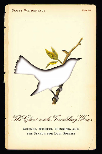 The Ghost with Trembling Wings (Science, Wishful Thinking and the Search for Lost Species) by Scott Weidensaul, 9780865476684