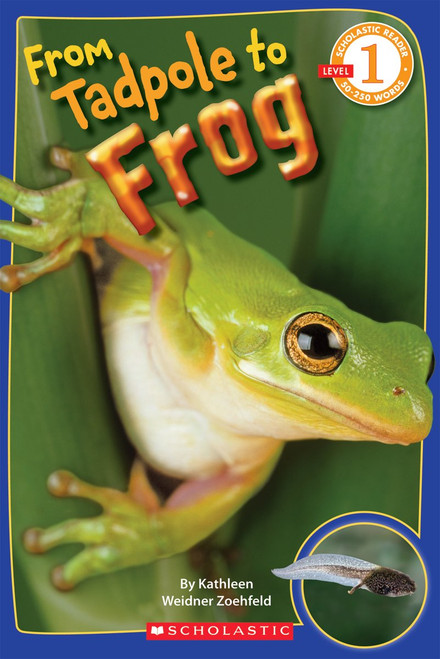 From Tadpole to Frog (Scholastic Reader, Level 1) by Kathleen Weidner Zoehfeld, 9780545273374
