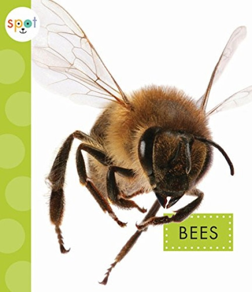 Bees by Nessa Black, 9781681522241