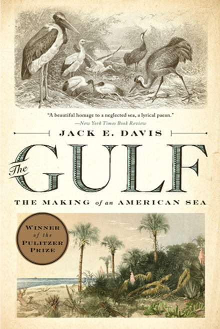 The Gulf (The Making of An American Sea) by Jack E. Davis, 9781631494024