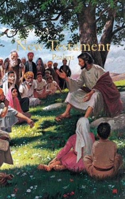 KJV Economy New Testament with Psalms, Illustrated Trade Paper (Miniature Edition) by Holman Bible Publishers, 9781558190382