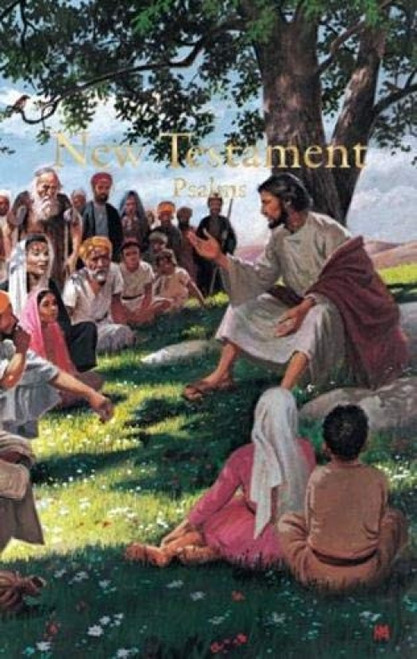 KJV Economy New Testament with Psalms, Illustrated Trade Paper (Miniature Edition) by Holman Bible Publishers, 9781558190382