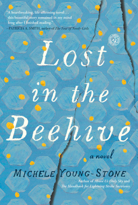 Lost in the Beehive (A Novel) by Michele Young-Stone, 9781451657647