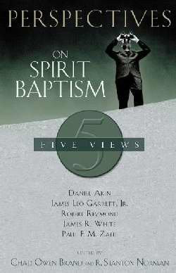 Perspectives on Spirit Baptism by Chad Brand, Larry Hart, Stanley Horton, Walter C. Kaiser, Jr., Ralph Del Colle, H. Ray Dunning, 9780805425949