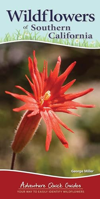 Wildflowers of Southern California (Your Way to Easily Identify Wildflowers) by George Oxford Miller, 9781591937517
