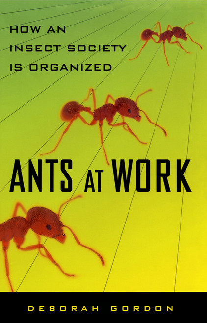 Ants At Work (How An Insect Society Is Organized) by Deborah Gordon, 9781451665703