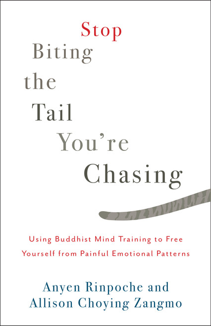 Stop Biting the Tail You're Chasing (Using Buddhist Mind Training to Free Yourself from Painful Emotional Patterns) by Anyen Rinpoche, Allison Choying Zangmo, 9781611805710