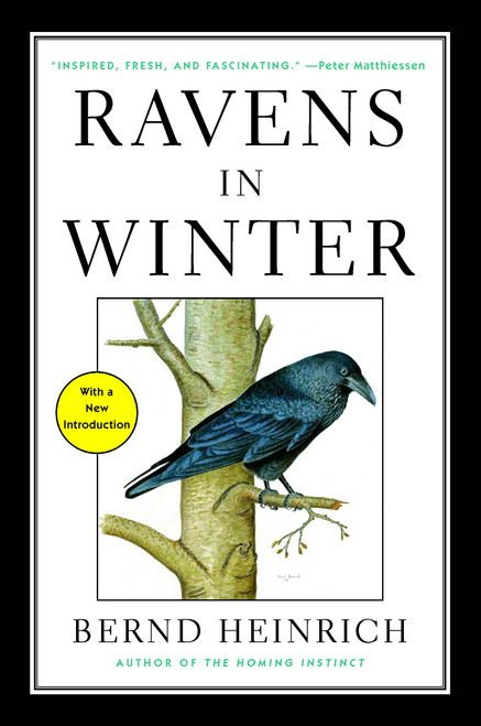 Ravens in Winter by Bernd Heinrich, 9781476794563