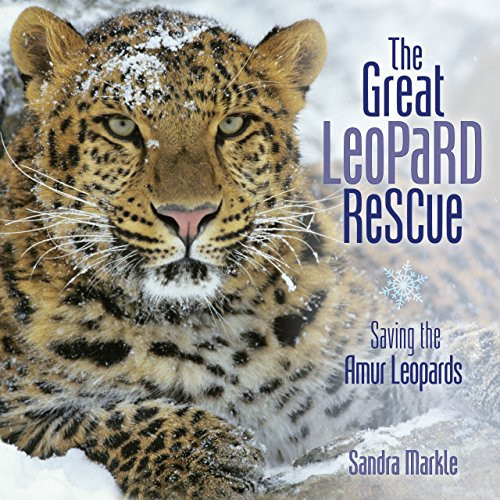 The Great Leopard Rescue (Saving the Amur Leopards) by Sandra Markle, 9781467792479