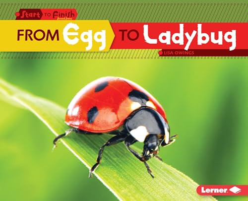 From Egg to Ladybug by Lisa Owings, 9781512409109