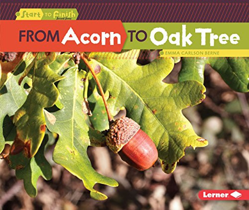 From Acorn to Oak Tree by Emma Carlson-Berne, 9781512456219