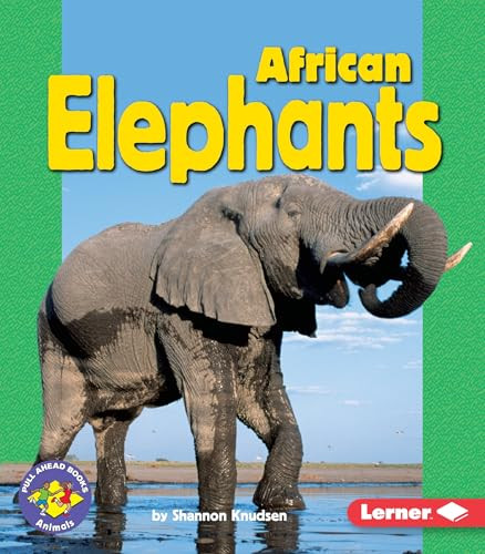 African Elephants by Shannon Knudsen, 9780822558392