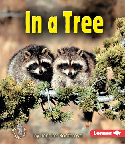 In a Tree by Jennifer Boothroyd, 9780822556633