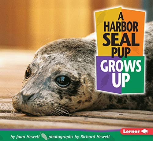 A Harbor Seal Pup Grows Up by Joan Hewett, Richard Hewett, 9780822500926