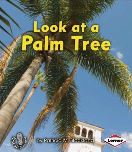 Look at a Palm Tree by Patricia M. Stockland, 9781467705233