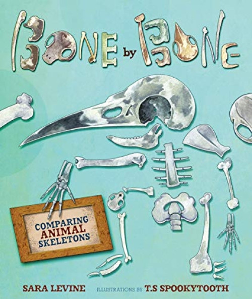 Bone by Bone (Comparing Animal Skeletons) by Sara Levine, T.S Spookytooth, 9780761384649