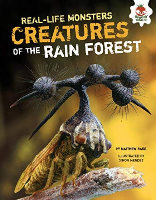 Creatures of the Rain Forest by Matthew Rake, Simon Mendez, 9781467763639