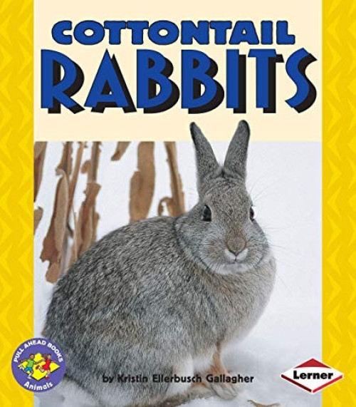 Cottontail Rabbits by Kristin Ellerbusch Gallagher, 9780822536239