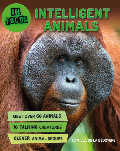 In Focus: Intelligent Animals by Camilla de la Bedoyere, 9780753473870