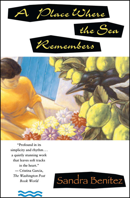 Place Where the Sea Remembers by Sandra Benitez, 9780671892678