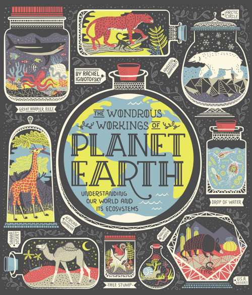 The Wondrous Workings of Planet Earth (Understanding Our World and Its Ecosystems) by Rachel Ignotofsky, 9780399580413